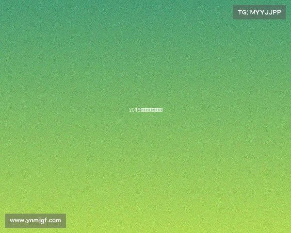 2016女排瑞士女排精英赛