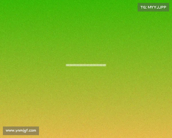 宁海越野挑战赛赛事包：征途必备贴心装备，山野启程暖心守护