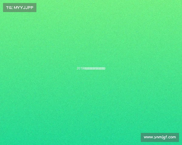 2019湖南跑步赛事、湖南跑步运动员